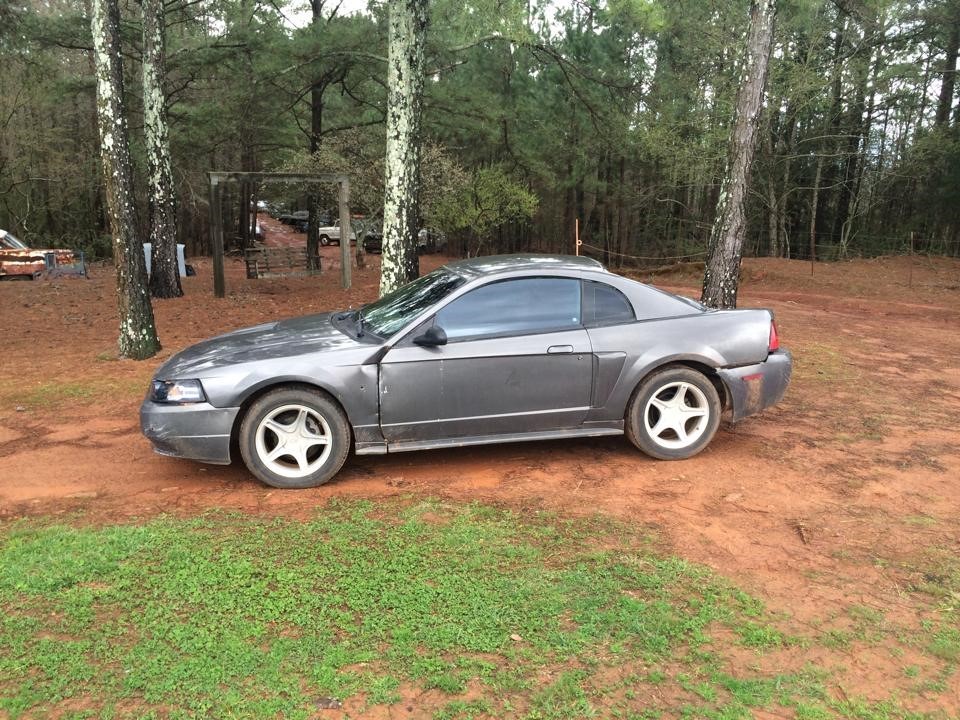 Picture 1 of 1