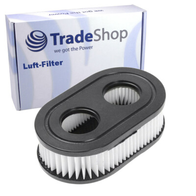 Luftfilter für Filter Briggs & Stratton Motor Rasenmäher Serie 550, 575 593260
