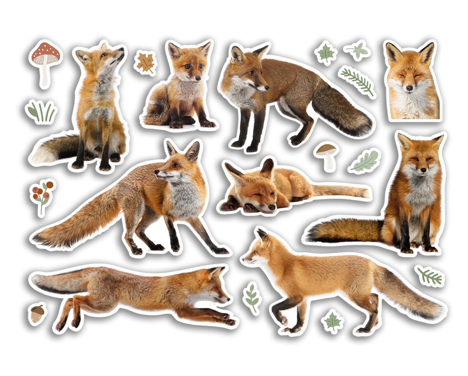 A5 Sticker Sheet Border Terrier Vinyl Stickers - Dogs Pet Puppy Scrapbook #82583 - Image 3