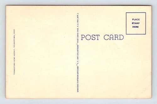 Youngstown Ohio Night View Old Mill, Idora Park Postcard - Picture 2 of 2