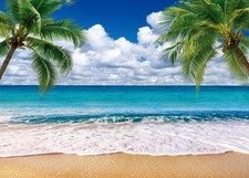 7x5ft Summer Sea Tropical Beach Photo Backdrop Hawaiian Ocean Theme Party Prop