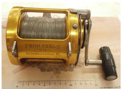 PENN INTERNATIONAL II 50TW