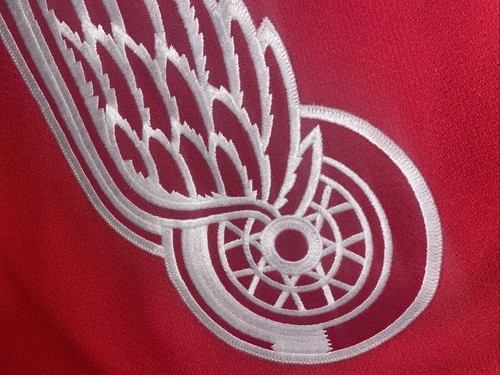 AUTENTICA Maglia Mikael Samuelsson Detroit Red Wings Reebok 6100 2005 Uomo 56 - Foto 7 di 10