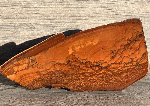 Polished Deschutes Picture Jasper Slab 5.6"x2.6" Lapidary Rough Slab Cabbing