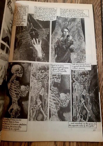 Asilo #1 (1989, nuevo grupo de cómics) casi nuevo portada de Bernie Wrightson/Stephen Bissette - Imagen 11 de 15