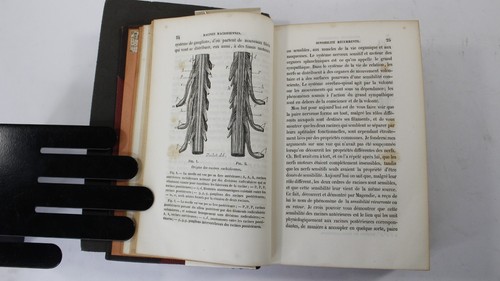 Lecons sur la Physiologie et la Pathologie du Systeme Nerveux - 2 Volumes in 1 - Imagen 3 de 9