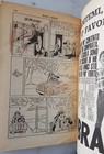 Foto 3 di 3