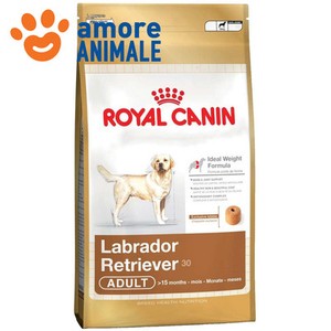 royal canin shampoo