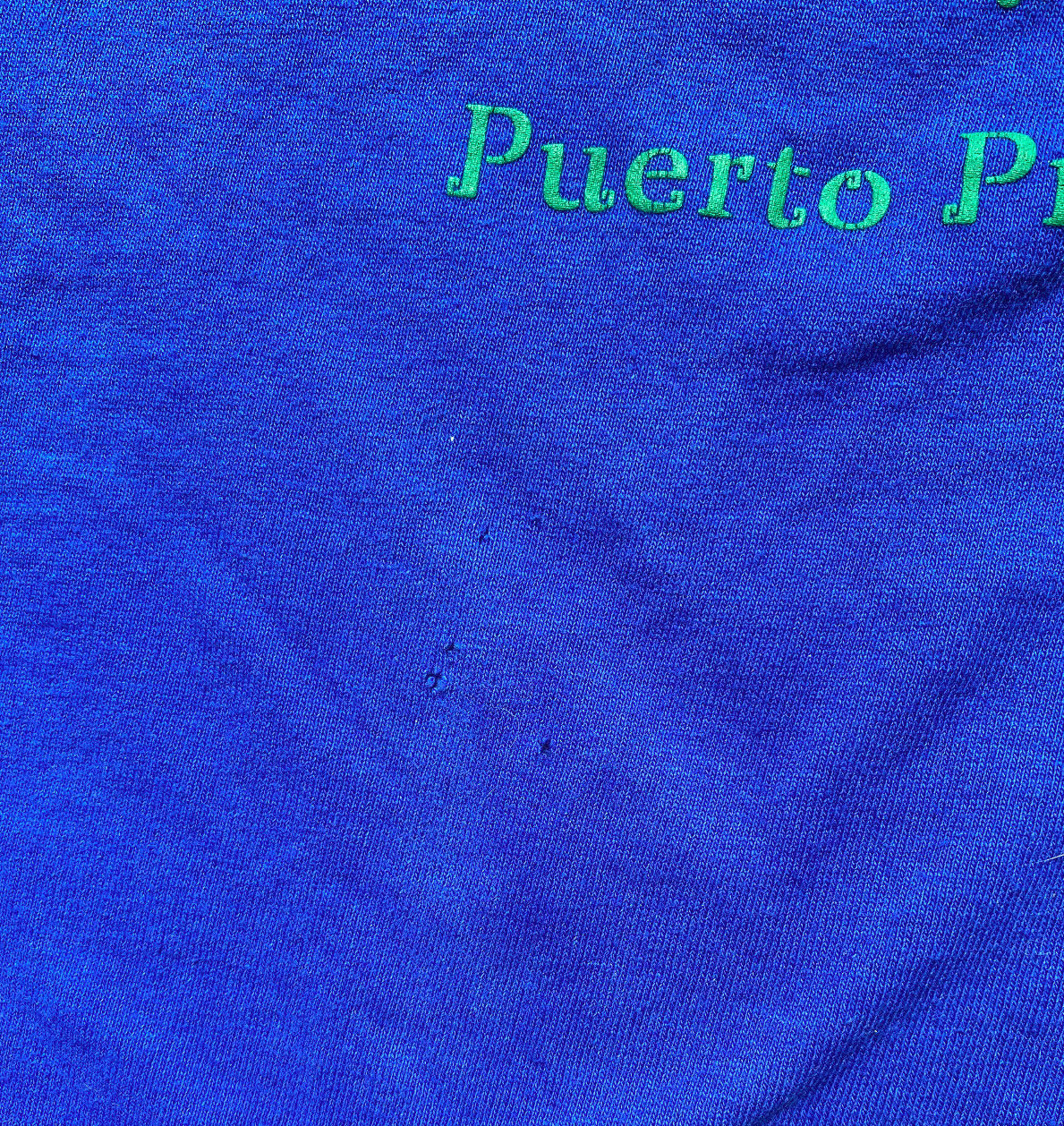 Turtle Puerto Progreso Mexico Multi Colored Lifte… - image 7