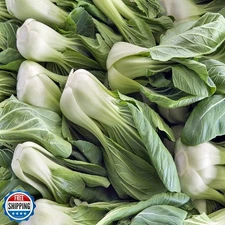 Bok Choy Cabbage Seeds for Planting – Plant and Grow Heirloom Bok Choy Cabbag