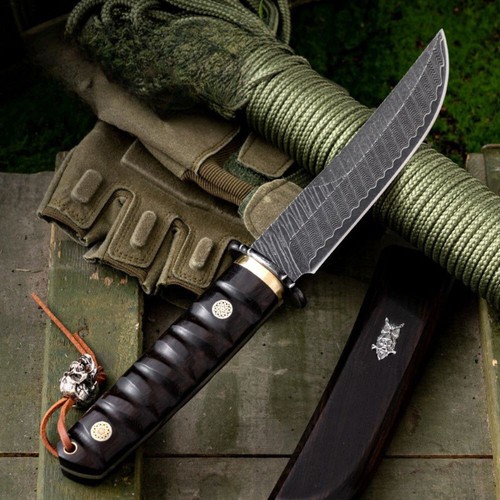 Japanese Style Damascus Fruit Knife Outdoor EDC Camping Blade for Collection - Picture 2 of 14