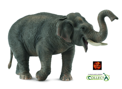 Asian Elephant Wildlife Toy Model Figure by CollectA 88486 Brand