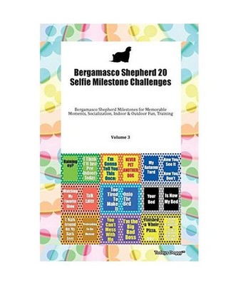 Bergamasco Shepherd 20 Selfie Milestone Challenges Bergamasco Shepherd Milestone