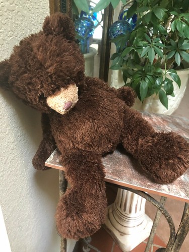 Gund Bradley The Borders Bear Plush Stuffed Animal Brown no scarf 46100 - Picture 6 of 8