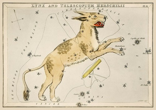 Vintage Astronomical Prints - Zodiac Posters - Sidney Hall - Home Decor Wall Art - Picture 20 of 30