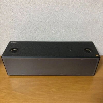 Haut-parleur sans fil Bluetooth Sony SRS-X99 noir - Photo 1/2