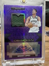 2023-24 Obsidian Brook Lopez Matrix Material Autos Electric Etch Purple #/49