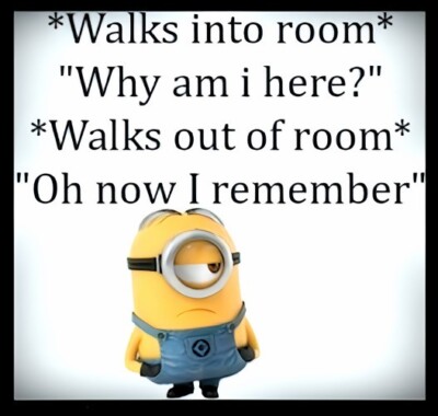 Walks Into Room Why Am I Here? Walks Out Of Room Oh Now I Remember- MAGNET
