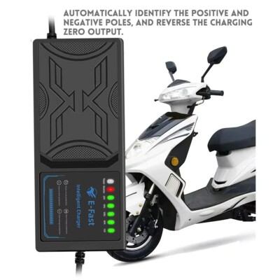 72V/60V/48V 20AH intelligentes Ladegerät für Elektrofahrzeug Blei Säure Battery