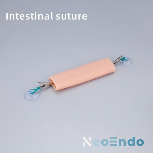 Caja de Entrenamiento Simulador Laparoscópico Plegable - Entrenador Endo para Enseñanza Médica - Imagen 10 de 25