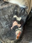 Bild 9 von 10