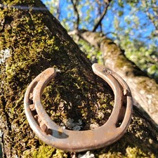 1 Authentic Texas Rusty Horse shoe Used Western Decore Arts Crafts