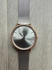 Limit Men's Modern Stainless Steel Mesh Strap Silver Dial analogue Watch