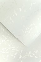 Liana Dekorpapier /20Stk/ 230G Galeria Papieru 203901 Weiss