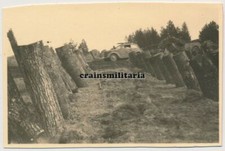 Orig. Foto Vormarsch Pkw der 5.Pz.Div. b. Panzersperren Sperre in Russland 1943