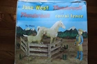 Jane West Thundercolt Thunderbolt and Corral Fence By Marx Playset 1966 w/ Box