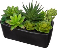 KüNstliche Sukkulente Deko Pflanze Keramik 14Cm Schwarz - Wohnzimmer Badezimmer