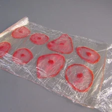 Nasco Life/form Moulage Wound - Lyme Disease Roll NEW Lyme's Realistic Replica