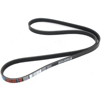 5040465 Dayco Drive Belt for Truck 4 Runner Toyota Yaris Echo Nissan Quest T100