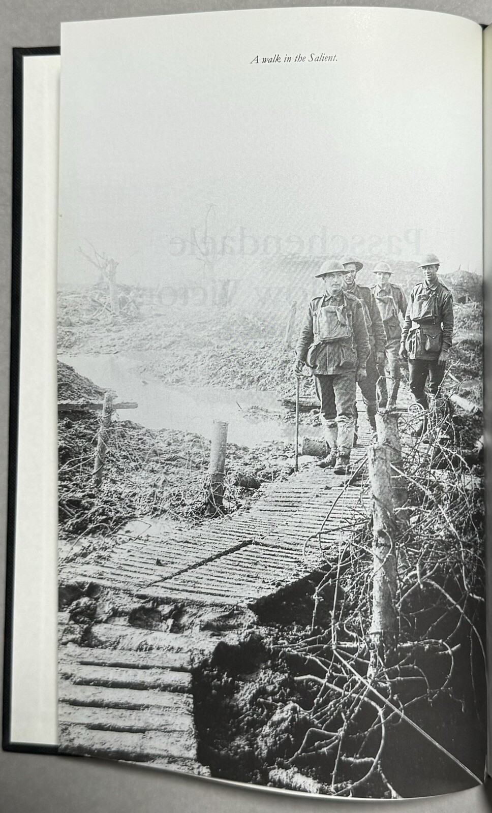Picture 6 of 15