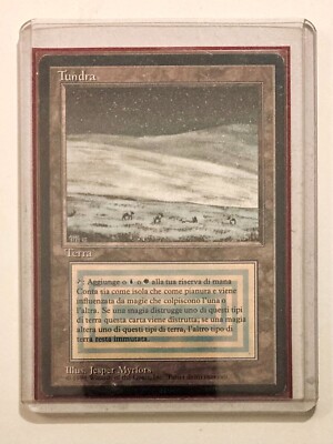 Mtg Magic Tundra Dual BB Erstausgabe ita foreign black border VG/EX