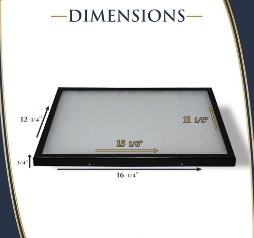 Vitrina Riker 16 x 12 x 3/4 puntas de flecha fósil pin medalla moneda EE. UU. caja de sombra - Imagen 2 de 8