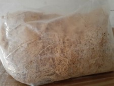 Irish Moss Sea Moss 11 lb bag 100 Raw Wild Crafted -176 Oz Jamaica authentic