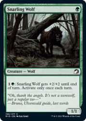Snarling Wolf 199/277 Innistrad: Midnight Hunt MTG Common