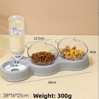 Automatic Pet Feeder Water Dispenser Dog Cat Food Bowl Set Auto Feeding Station