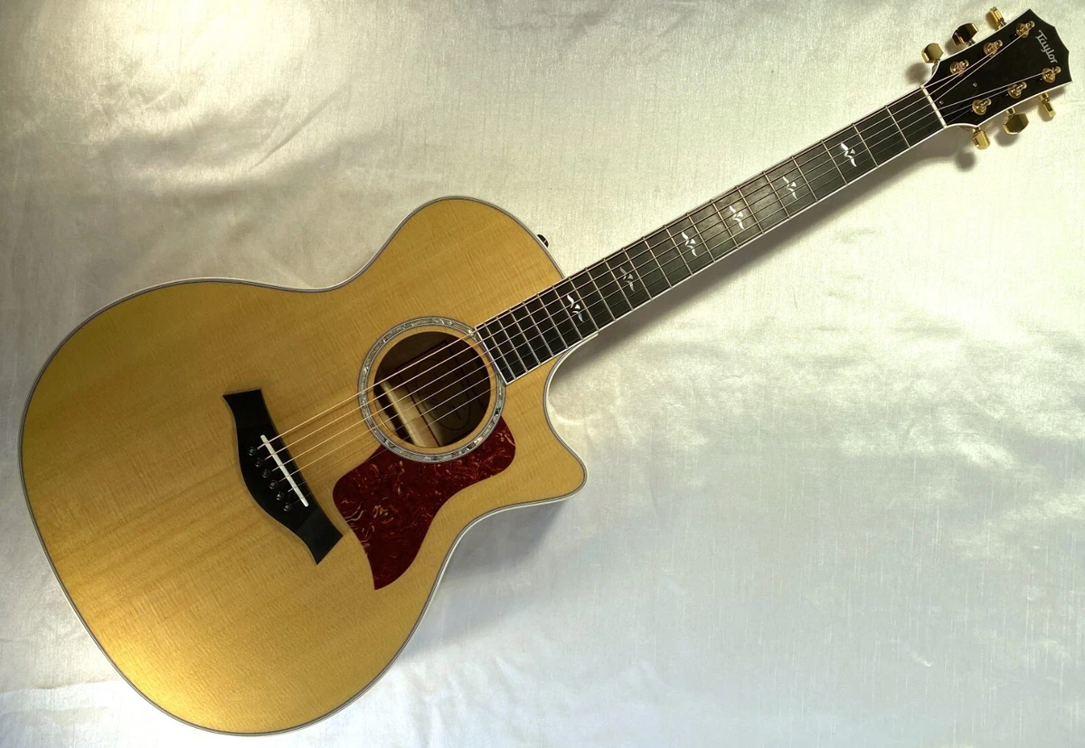 Taylor guitar ebay deals