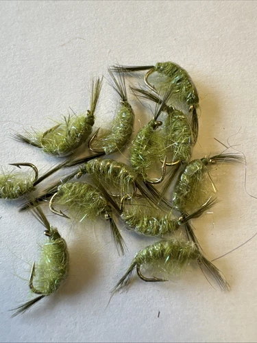 Lot of 12 Olive Scuds  Trout Fly Fishing Flies:  Size 16