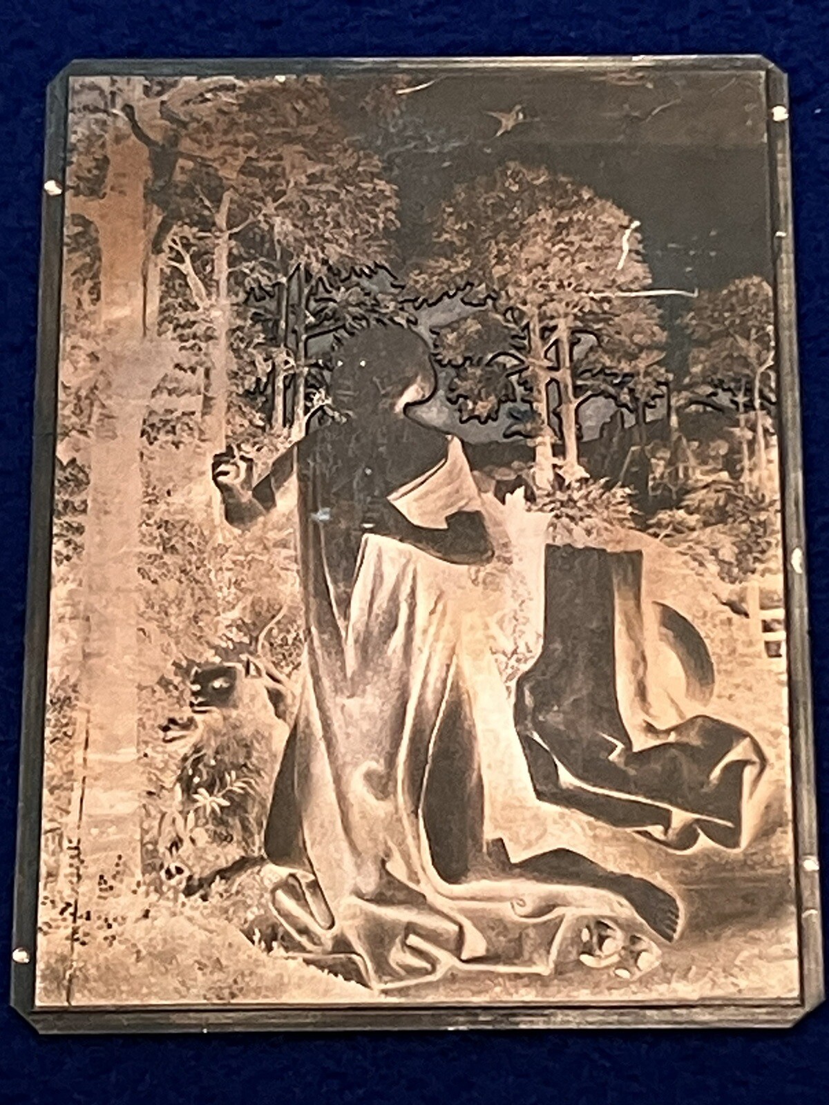 Picture 7 of 19