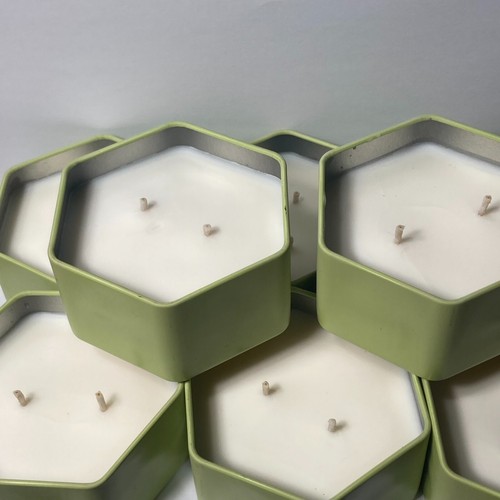 Burt's Bees Gurke Melone 2 Docht Dose Soja Kerze 8er Set 3,5oz EINGESTELLT  - Bild 20 von 23