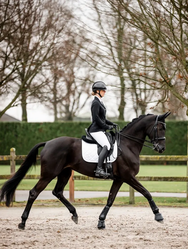 Horseware AA Platinum Ladies Motion Flex Pro Competition Show Jacket XXS-XXXXL - Bild 3 von 9