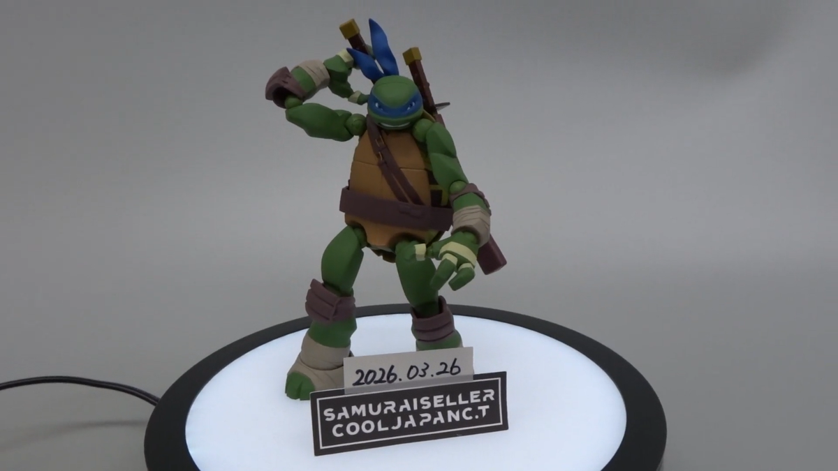 Kaiyodo Revoltech Teenage Mutant Ninja Turtles Leonardo Action