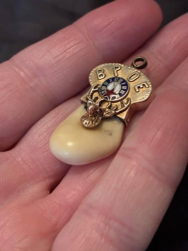 Antike seltene 14k Gold/Rubin BPOE wohlwollende Schutzorden Elchzahn Uhr Anhänger - Bild 15 von 22