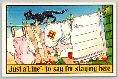 Vintage Comic Postcard JUST A LINE TO SAY I'M STAYING HERE Black Cat Clothesline
