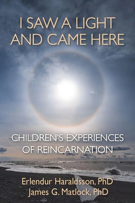 I Saw A Light And Came Here | Children's Experiences of Reincarnation | Buch