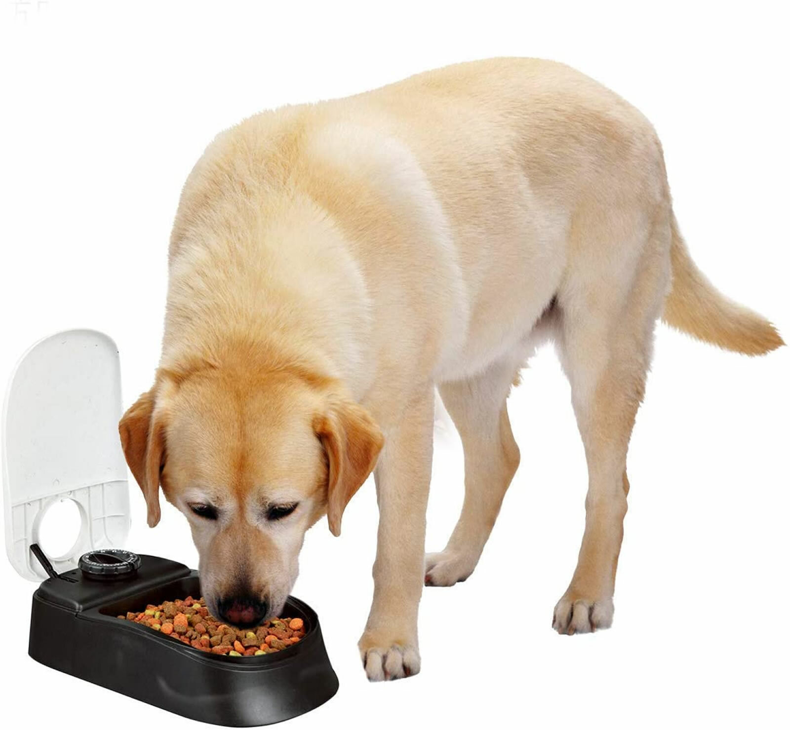 pawise automatic pet feeder