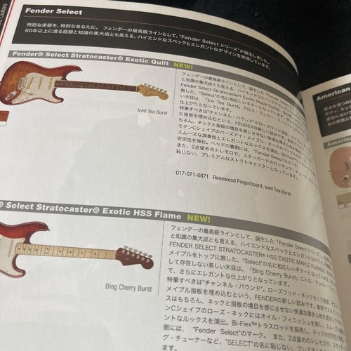 Fender 2014 Catalog Illustrated Pricelist Squier EVH Parts Accessories Japan Shi - Picture 8 of 11